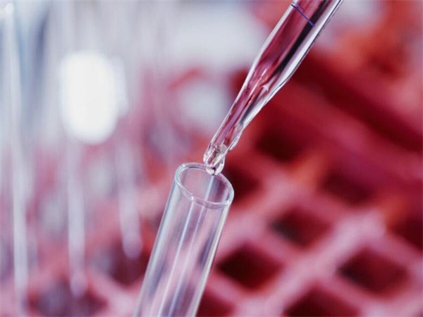 海外试管婴儿目的地大比拼：中国家庭首选国家揭晓